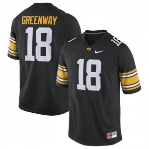 chad greenway iowa jersey